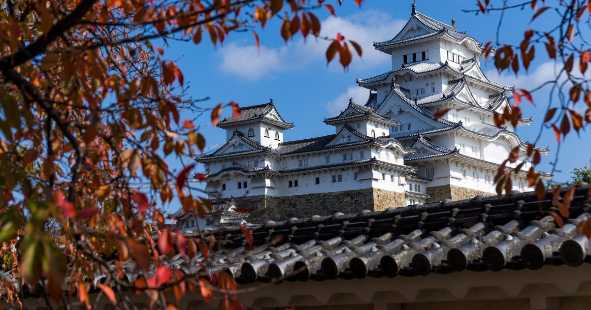 紅葉が咲いている姫路城の画像