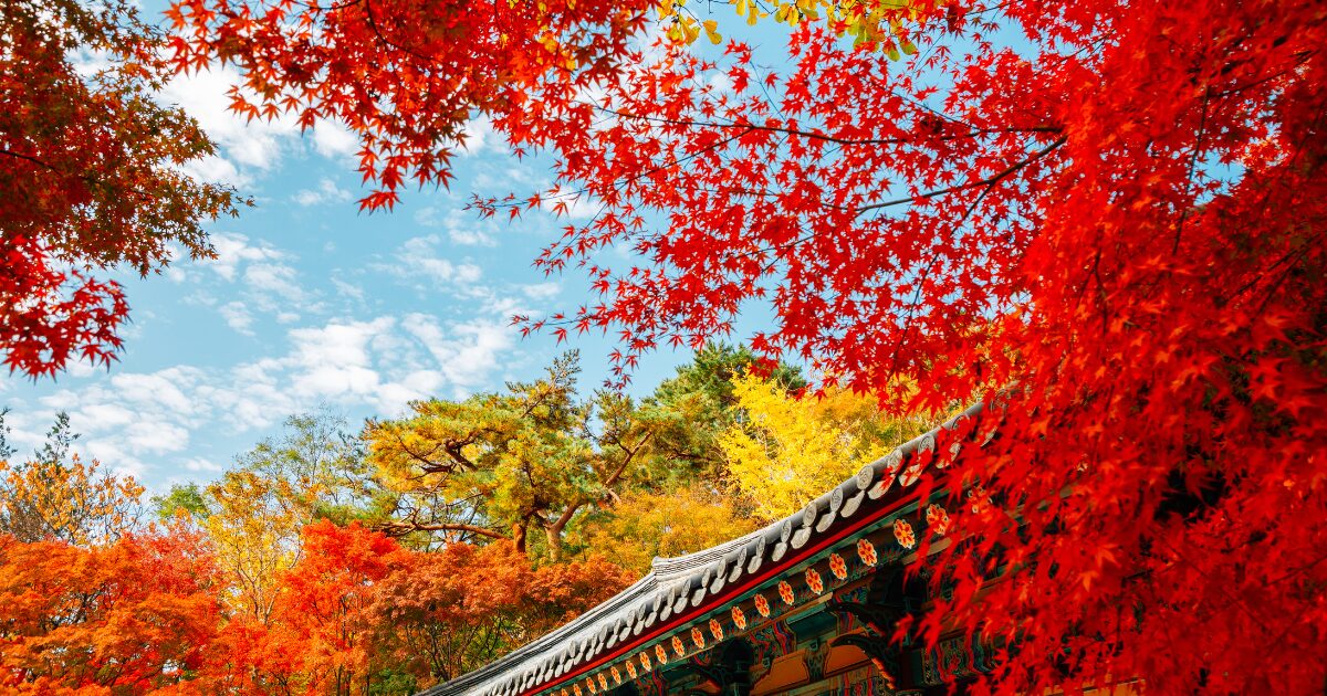 飛鳥歴史公園のイメージ画像