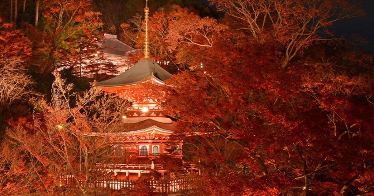 勝尾寺公式サイトから引用した例年のライトアップされた紅葉の画像