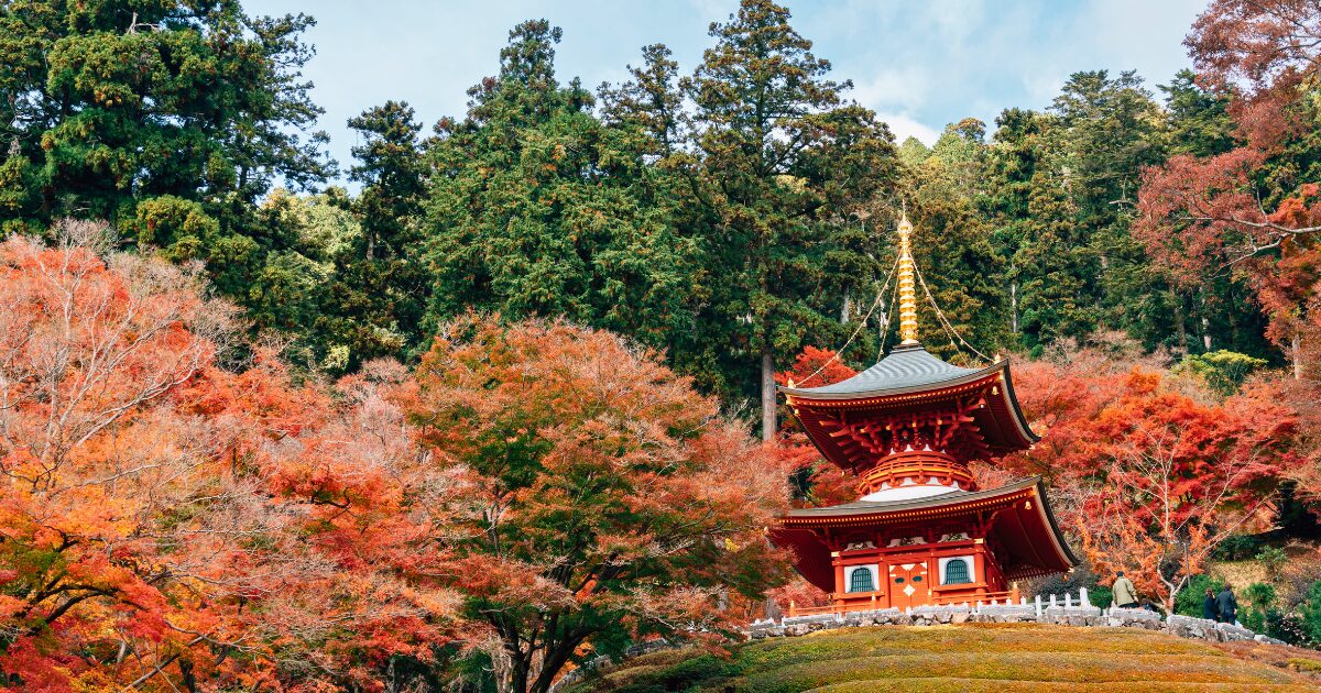 箕面公園の様子を表した画像