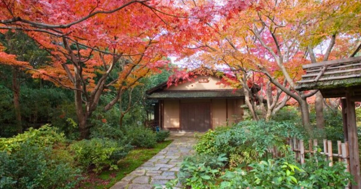 万博記念公園公式サイトから引用した公園内の画像