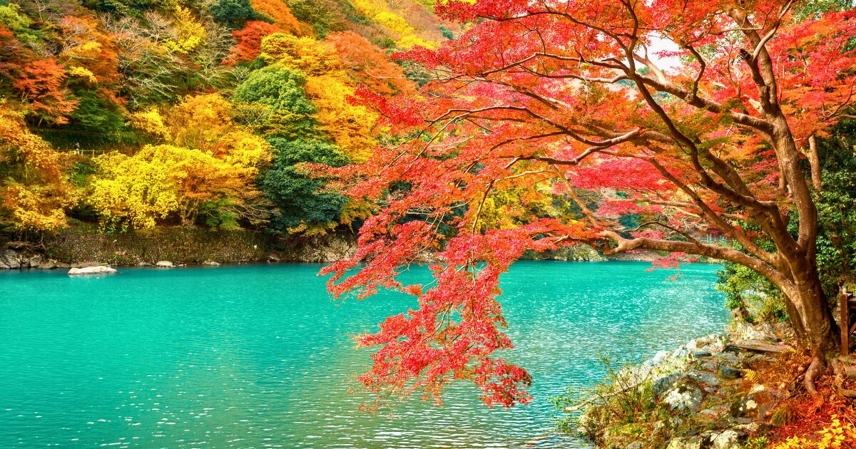嵐山公園のイメージ画像