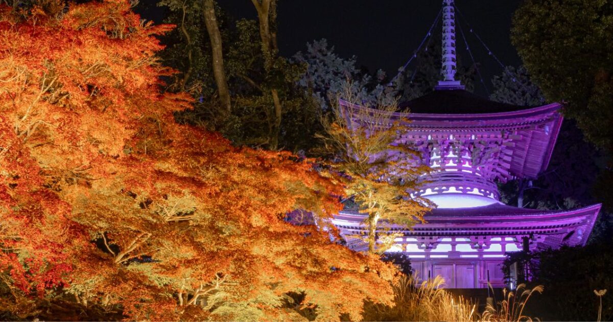 石山寺公式サイトから引用した例年のライトアップされた紅葉の画像
