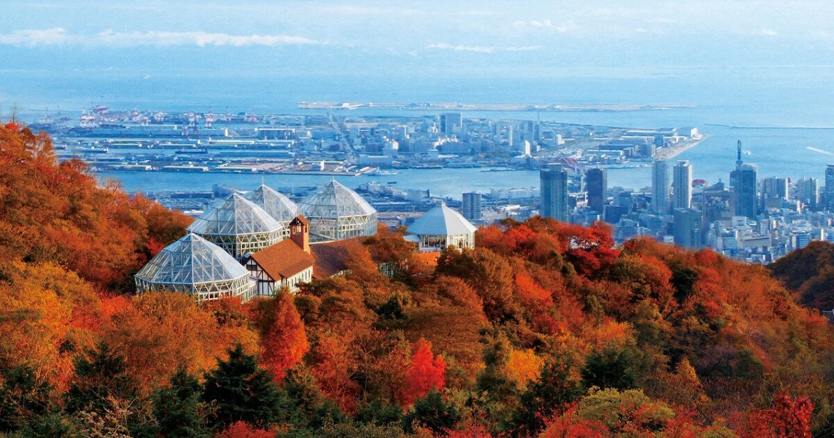神戸布引ハーブ園公式サイトから引用した紅葉を一望している画像