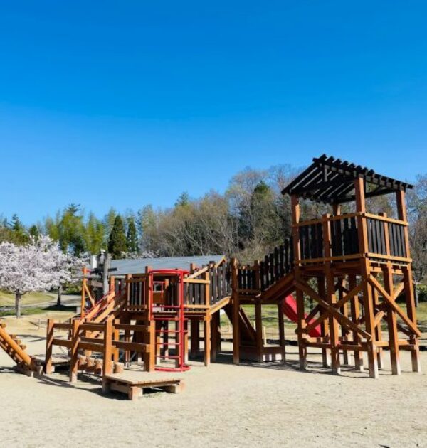 けいはんな記念公園の遊具の画像