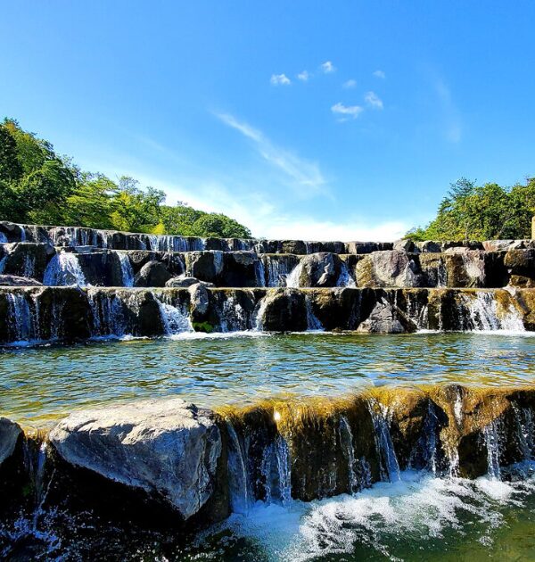 けいはんな記念公園の水景棚の画像