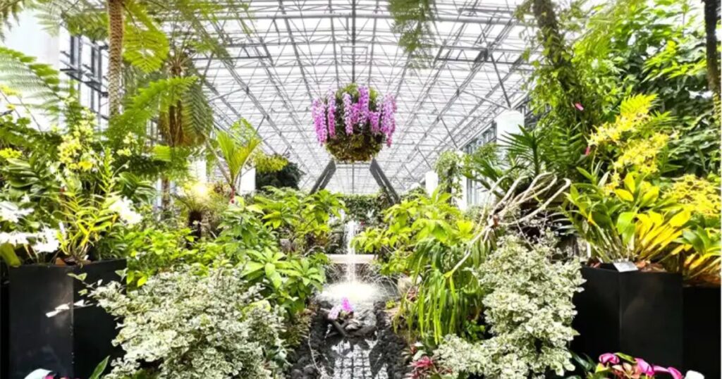 あわじグリーン館の植物の画像