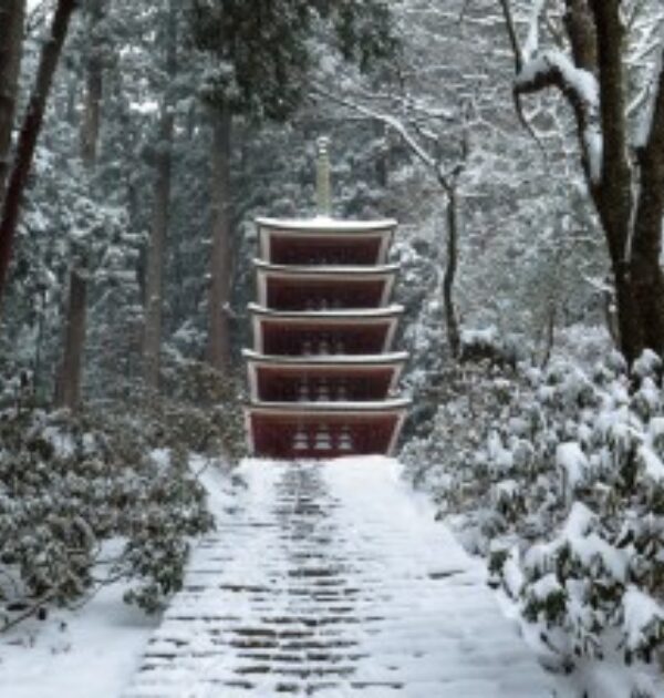室生寺の冬の古塔の画像